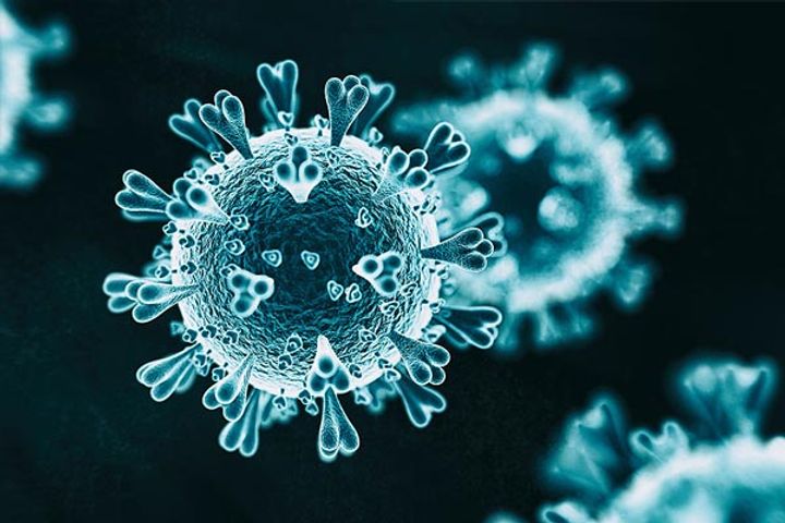 Coronavirus Pandemic