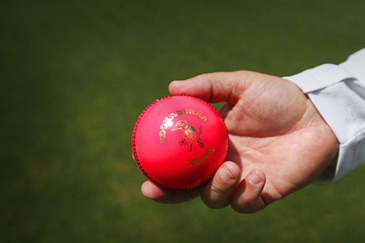 Third day night test match will be played in Bangalore