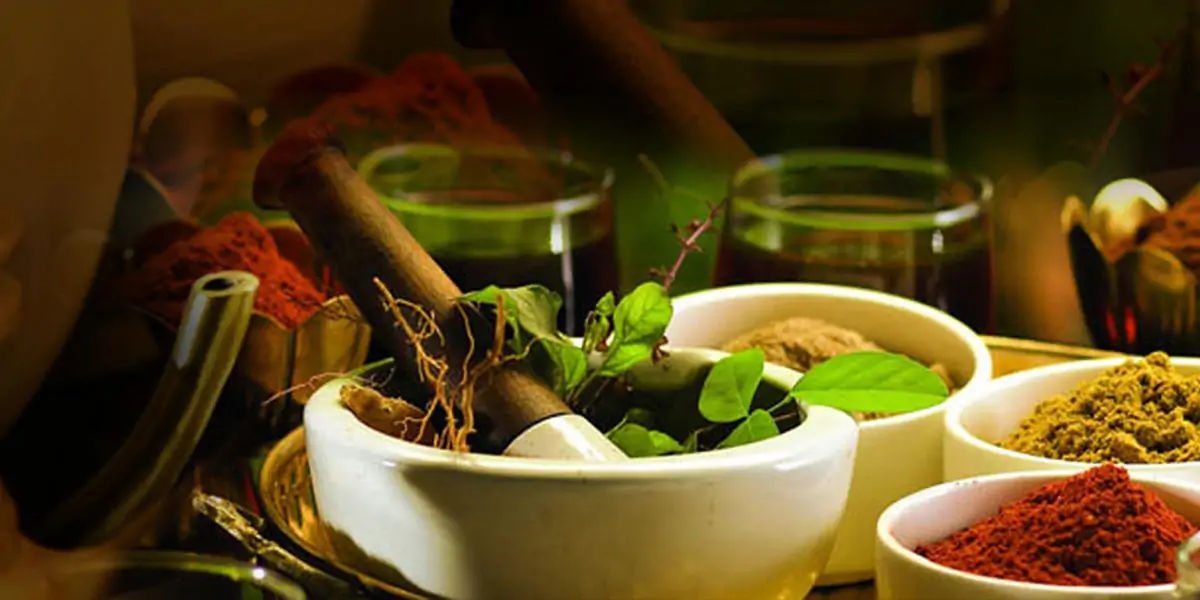 kerala facts, facts about kerala , kerala, india, india facts, facts about india, amazing facts abou