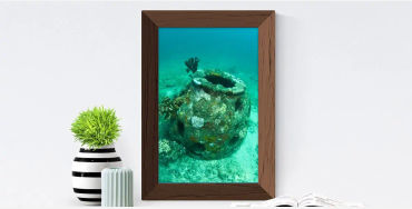 coral reefs, dead body, body change