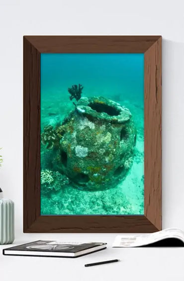 coral reefs, dead body, body change
