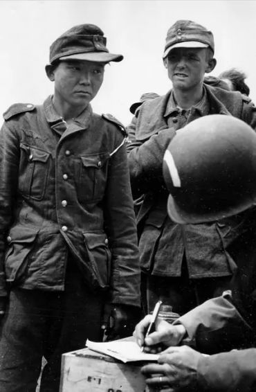 world war 1, world war 1 uk, world war 1 facts, world war 1 fact, world war 1 tanks, world war facts