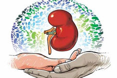 81 year old mother gave kidney to 56 year old son the first such case in the country