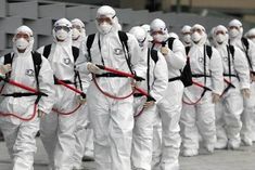 Coronavirus Pandemic