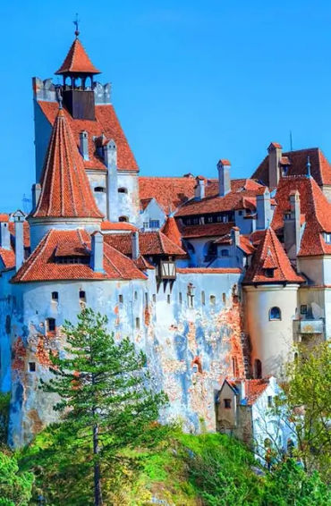 strokers, victorian, readers, transylvania, writer, novel