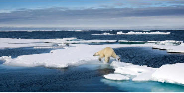 atlanticocean, atlantic, ocean, pacificocean, smallest