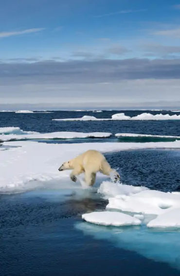 atlanticocean, atlantic, ocean, pacificocean, smallest