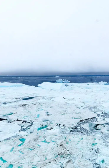 arctic, antartica, icecap, american, southpole