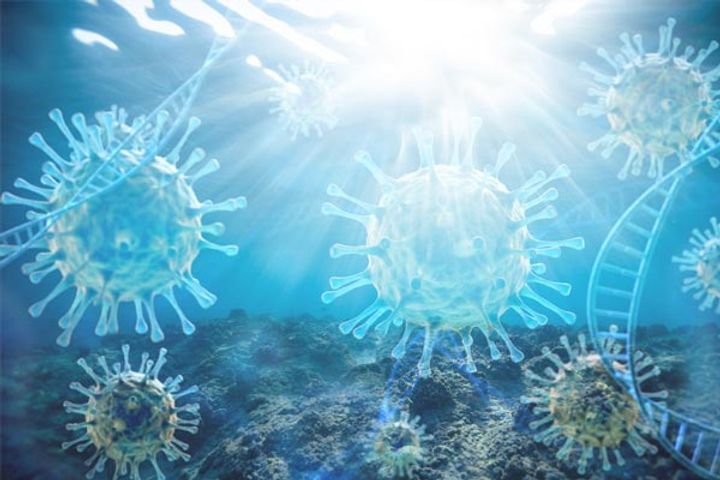 new viruses in the sea