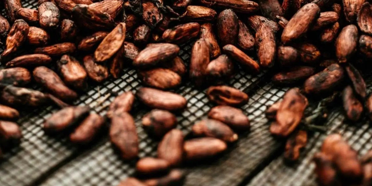 chocolate facts, facts about chocolate
