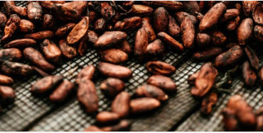 chocolate facts, facts about chocolate