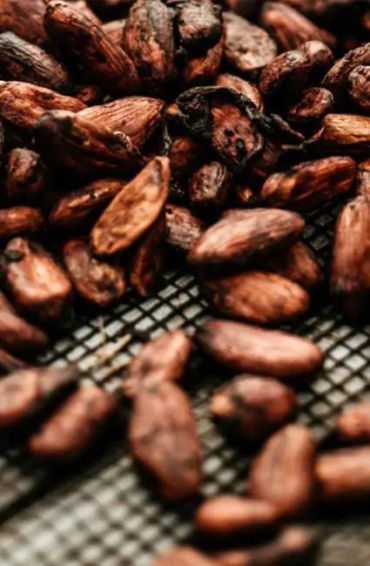 chocolate facts, facts about chocolate