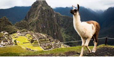 machu, picchu, machupicchu, pachacuti, inca, yupanqui, empire, roman, llama