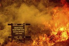 Fire breaks out at chemical factory in Andhra Pradesh, 6 dead, 12 injured