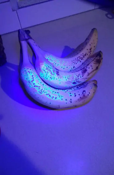 banana, banana facts, banana potassium, banana radioactive, radioactive fruits