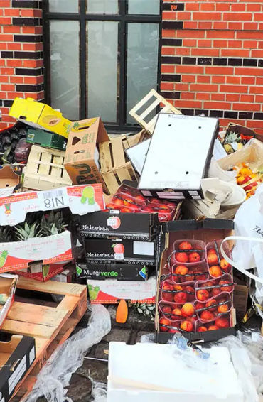wastage, food wastage, wastage of food, food waste