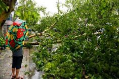 Cyclone in West Bengal, 2 killed, 50 injured More than 200 houses including churches damaged in Mizo