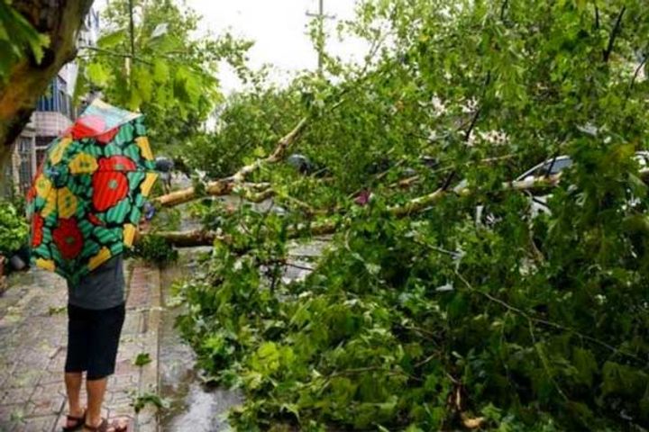 Cyclone in West Bengal, 2 killed, 50 injured More than 200 houses including churches damaged in Mizo