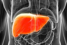 world liver day