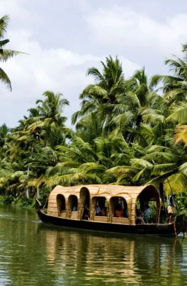 kochi, india, beauty, lakes, backwaters, beaches, ancientmuseum, lushgreenry, nicolasconti, travelog