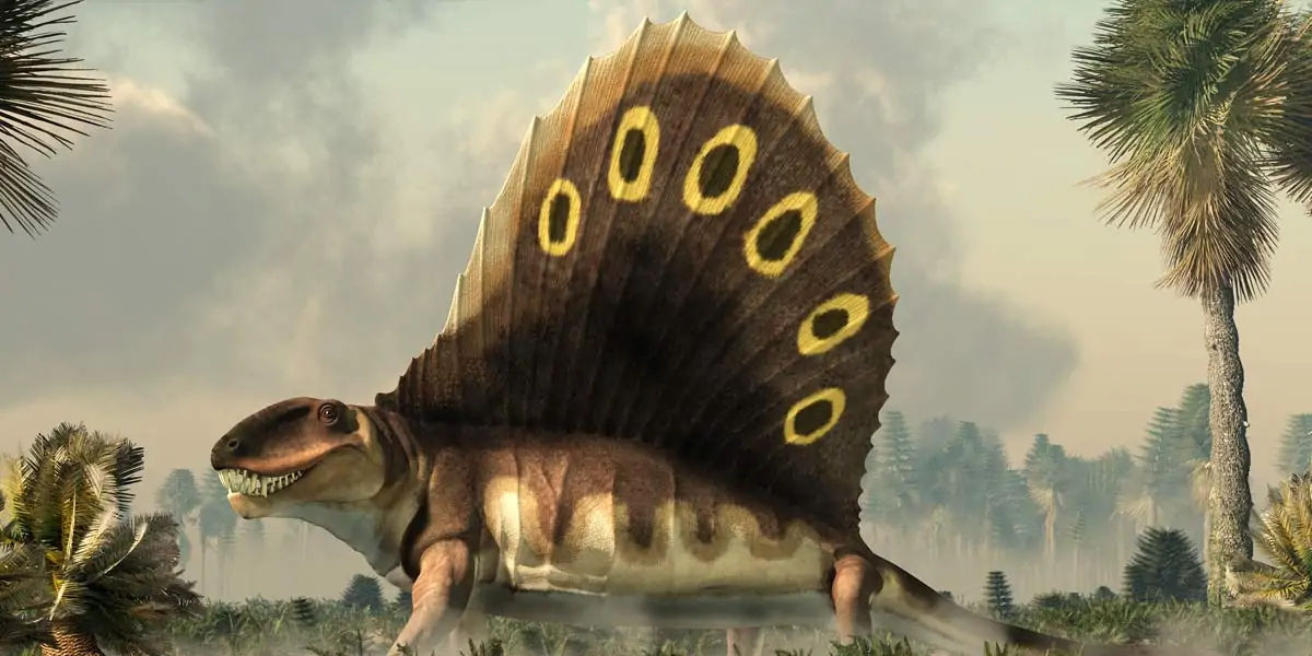 dinosaurs, argentinosaurus, elephants, extint, reptiles, archosaurs, therapsids, pelycosaurs