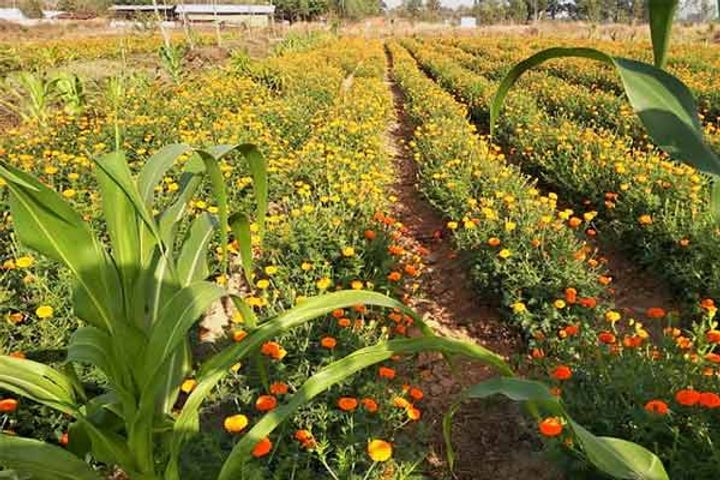 uttarakhand will make countrys first gi board