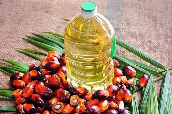 indonesia bans palm oil exports