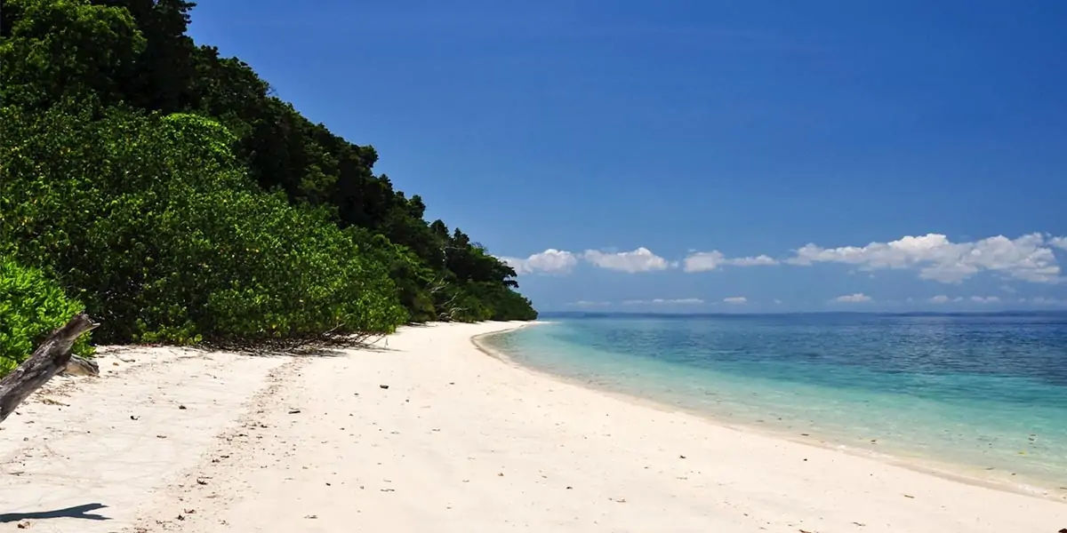 andaman, nicobar, malay, hanuman, india, handyman, nakkavaram, southindia, landofthenaked, tanjore, 