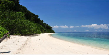 andaman, nicobar, malay, hanuman, india, handyman, nakkavaram, southindia, landofthenaked, tanjore, 