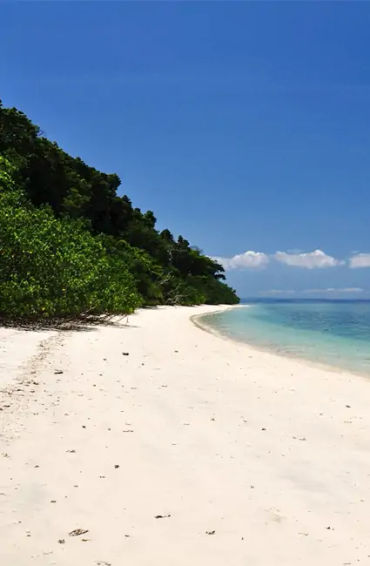 andaman, nicobar, malay, hanuman, india, handyman, nakkavaram, southindia, landofthenaked, tanjore, 