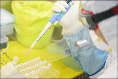 corona investigation