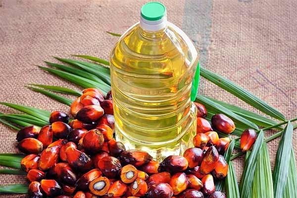 Indonesia will stop exporting palm oil from today
