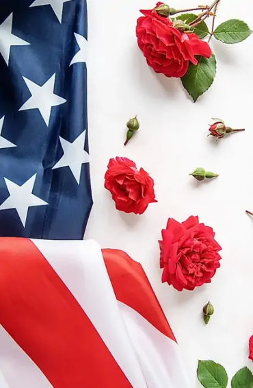 roses, flowers, oldestplants, guniessbooks, world records, genus rosa, familyrosaceae, species, rome