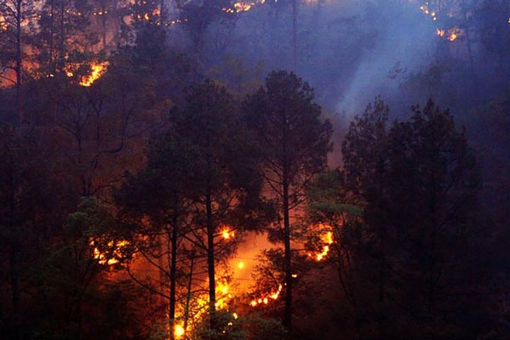 fire in 6785 hectares of forests of uttarakhand and himachal