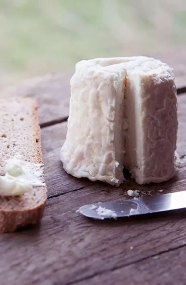 milk, fat, white, protein, molecules, light, wavelength, cow, gallons, Missouri, robthom, suzettepad