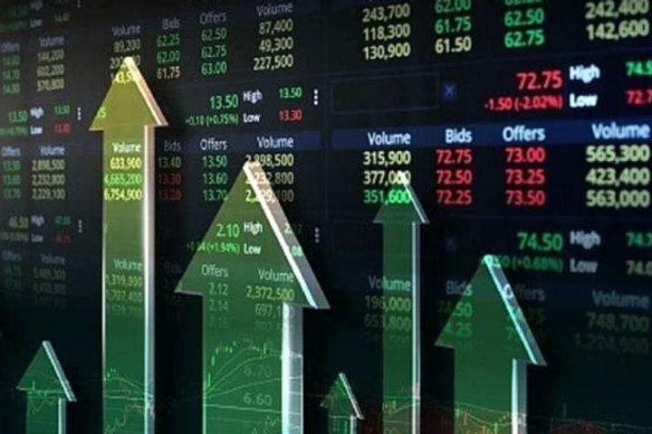 Share Market Share Market