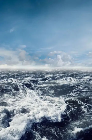 Ocean, ocean fact, ocean facts, ocean oxygen, oxygen facts, oxygen fact