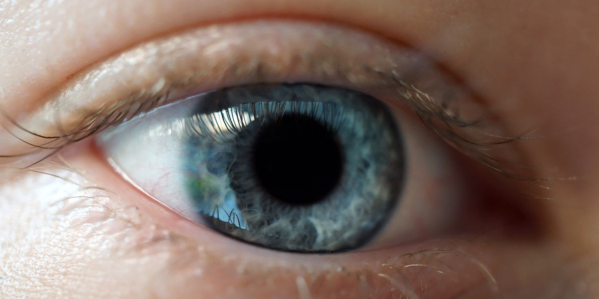 Interesting Facts | Random Fun Facts That Will Wow You The cornea is one of only two parts of the human body without blood vessels