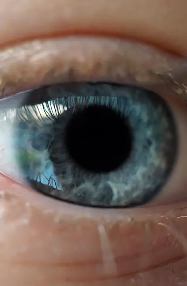 cornea, facts about cornea, cornea facts, human body facts, facts about human body, facts about eyes