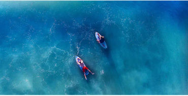 Ocean, ocean fact, ocean facts, ocean oxygen, oxygen facts, oxygen fact