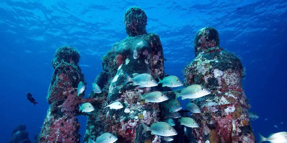 Ocean, ocean fact, ocean facts, ocean oxygen, oxygen facts, oxygen fact