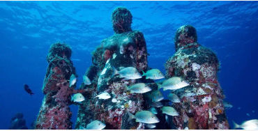 Ocean, ocean fact, ocean facts, ocean oxygen, oxygen facts, oxygen fact