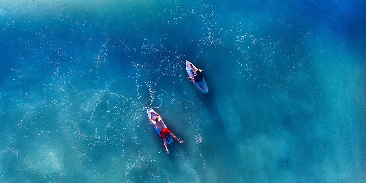 aquatic, earth, marine, species, outnumber, aquaticlife, oceans, waterbodies, 