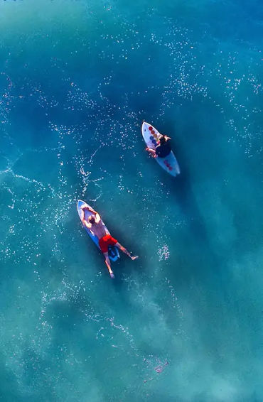 aquatic, earth, marine, species, outnumber, aquaticlife, oceans, waterbodies, 