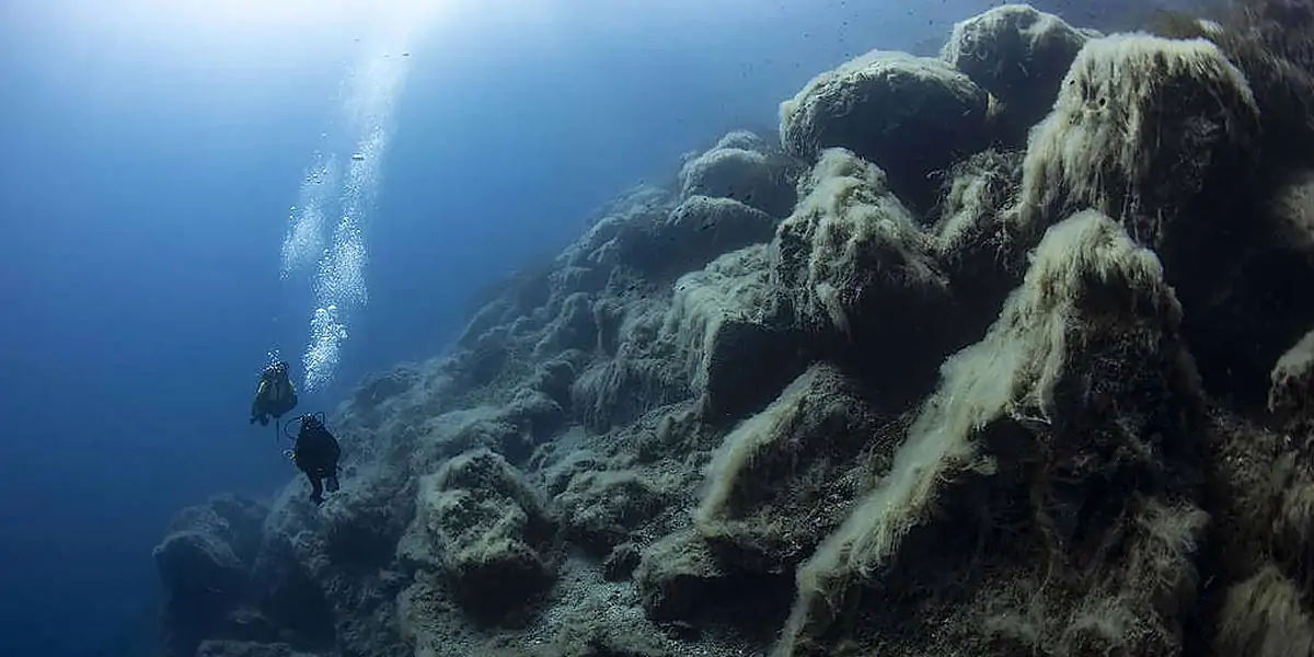 aquatic, earth, marine, species, outnumber, aquaticlife, oceans, waterbodies, mountain, submerged, m