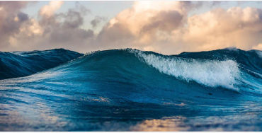 unitedstates, submerged, underwater, ocean, exist, aquatic, earth, marine, species, outnumber, aquat