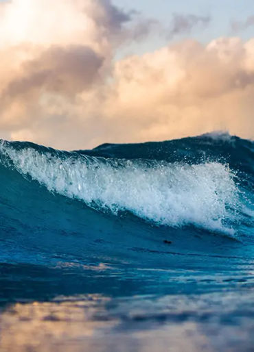unitedstates, submerged, underwater, ocean, exist, aquatic, earth, marine, species, outnumber, aquat