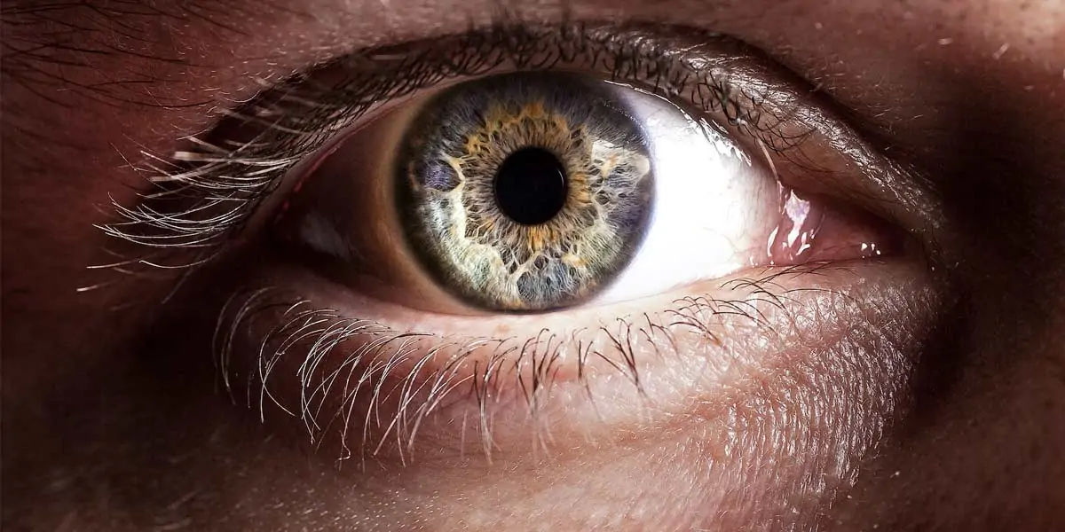 pupil size voluntarily change