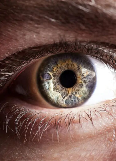pupil size voluntarily change