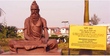sushruta, samhita, sushrutasamhita, sixth, chapters, therapeutic, mineral, embryology, venesection, 